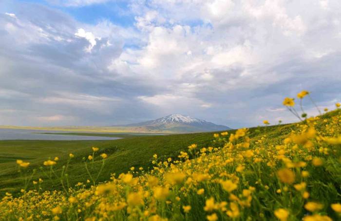 Sütey Yaylası Ve Süphan Dağı’nda Bulut Geçişleri Görsel Şölen Oluşturdu