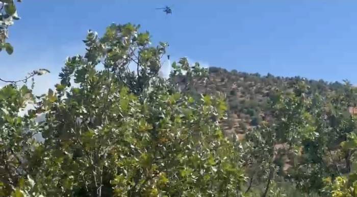 Diyarbakır’da Orman Yangını: Havadan Ve Karadan Müdahale İle Söndürüldü