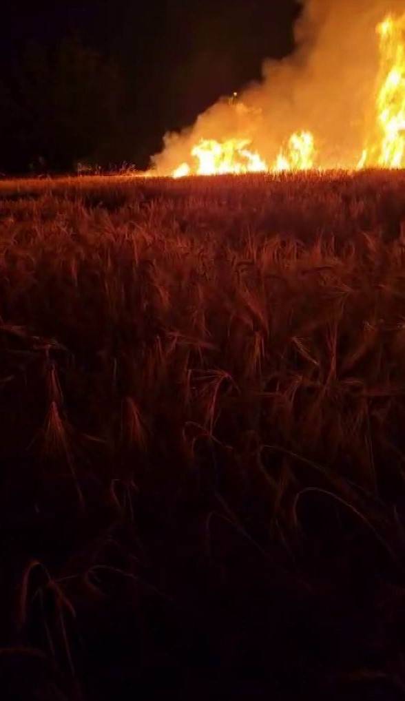 Elektik Direğinden Çıkan Kıvılcım Ekili Alanı Küle Çevirdi