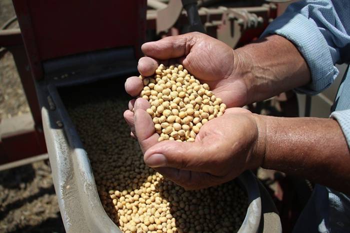 Adana’da Hasadın Tamamlandığı Arazilerde İkinci Ürün Çalışmaları Başladı