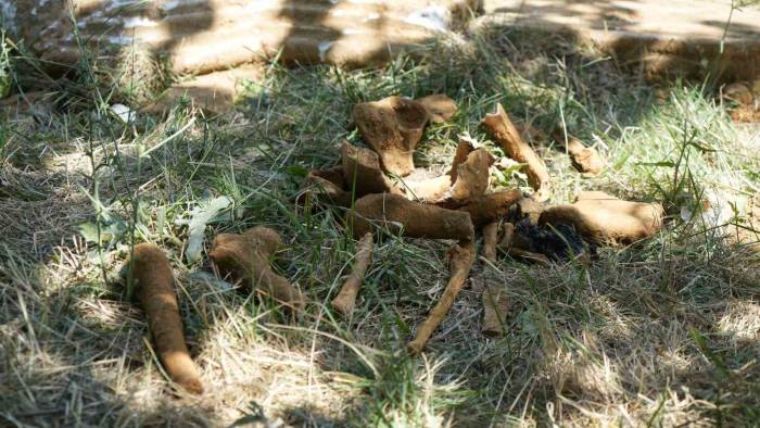 Başakşehir’de Kazı Sırasında Tarihi Olduğu Değerlendirilen Mezar Bulundu