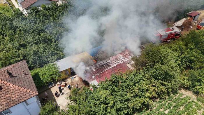 Samanlıkta Yangın Çıktı: 3 Büyükbaş Hayvan Telef Oldu