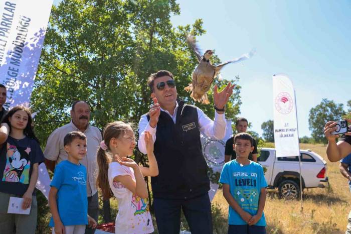 300 Kınalı Keklik Doğayla Buluştu