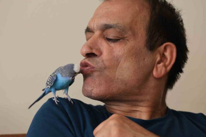 Dinleyen Kulaklarına İnanamıyor: Muhabbet Kuşundan ’’sayın Cumhurbaşkanı Recep Tayyip Erdoğan’’ Tiradı