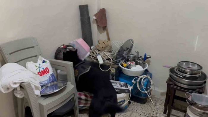 Yorganların Arasına Gizlenen Uyuşturucuyu Polis Köpeği Buldu