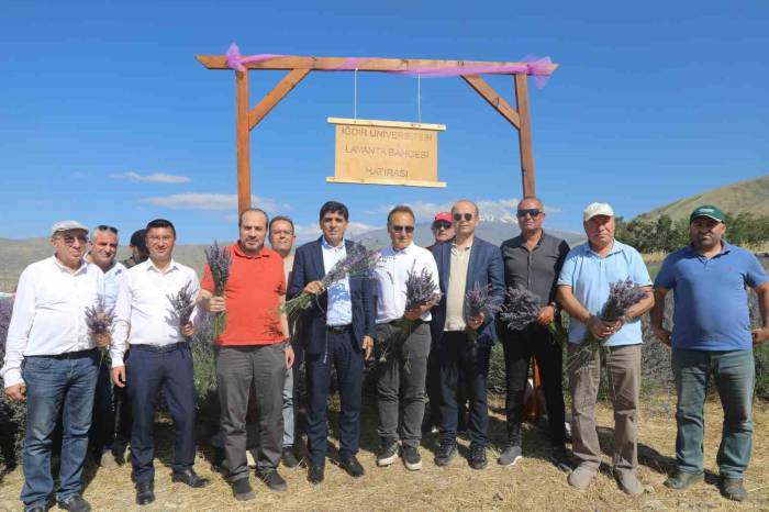 Iğdır Üniversitesi’nde “3. Geleneksel Lavanta Şenliği” Coşkusu