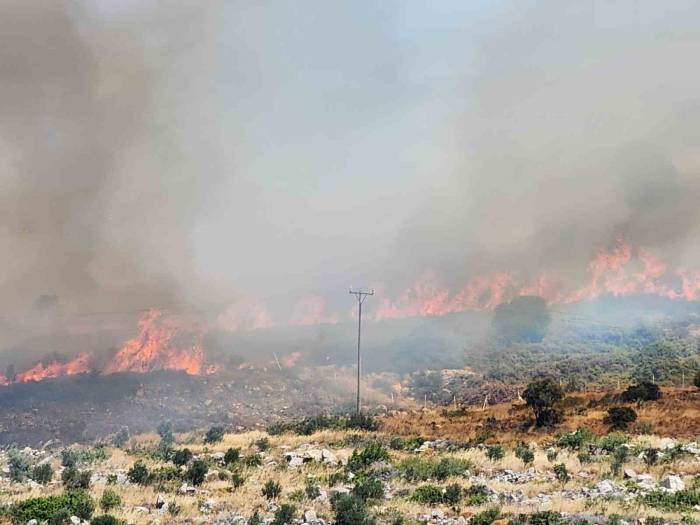İzmir Menderes’teki Yangının Ardından Bir Yangın Da Çeşme’de Başladı