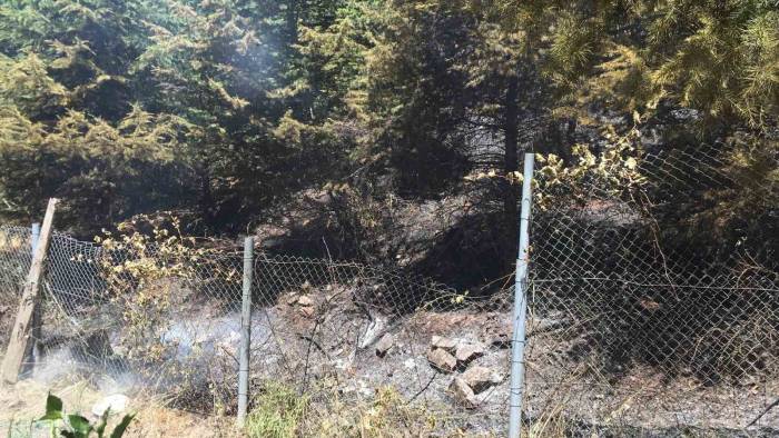 Yangın Vatandaşları Sokağa Döktü