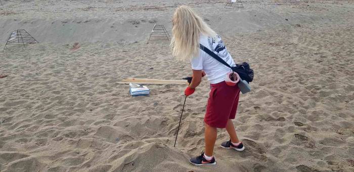 Alanya’da Caretta Caretta Yuvalarında Rekor Kırıldı