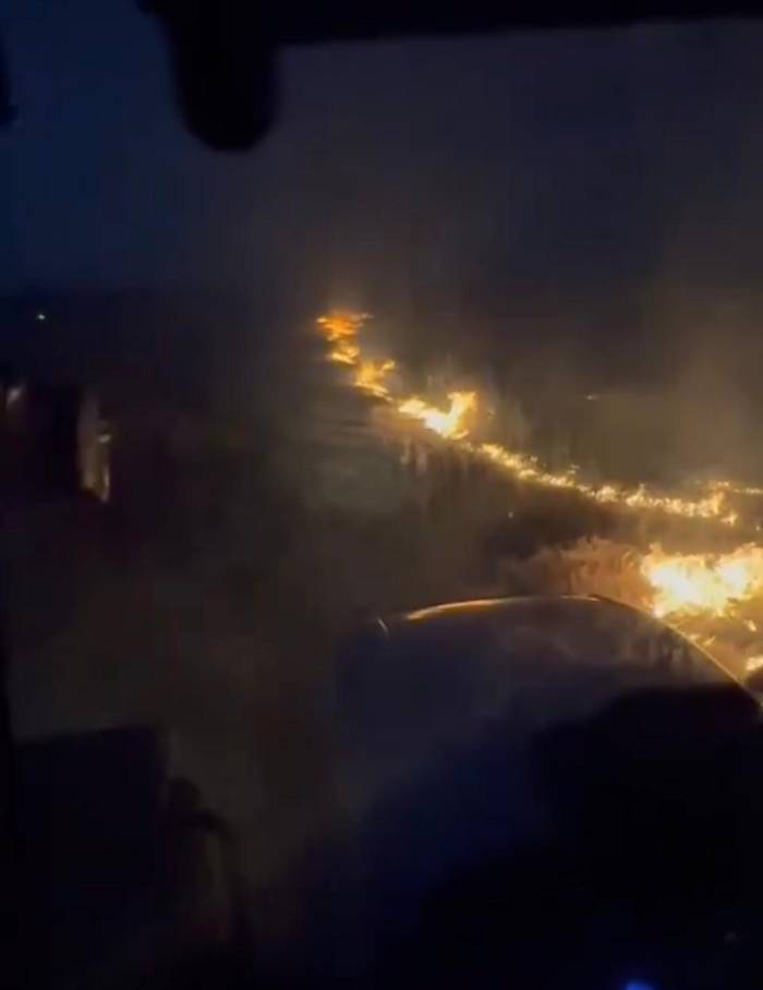 Konya’da Elektrik Akımına Kapılan Kuşlar Yangına Neden Oldu