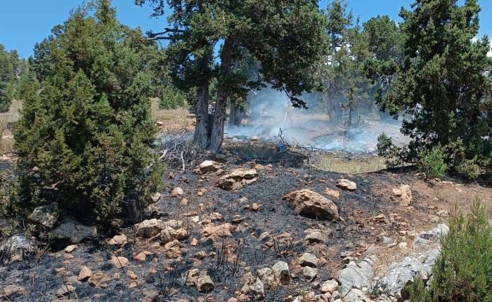 Mersin’de Orman Yangını, Büyümeden Söndürüldü
