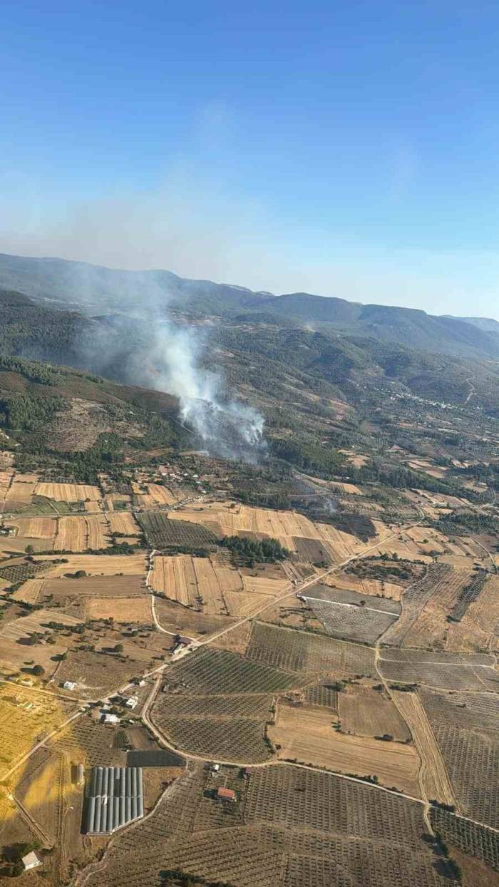 Milas’taki Orman Yangını Kontrol Altına Alındı