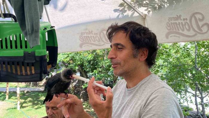 Yavru Kargaya Bebek Gibi Bakıyorlar