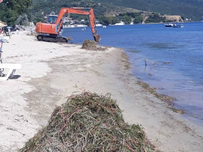 Balıkesir Valiliği Deniz Çayırlarının Sökülmesi Olayı İle İlgili Soruşturma Başlattı