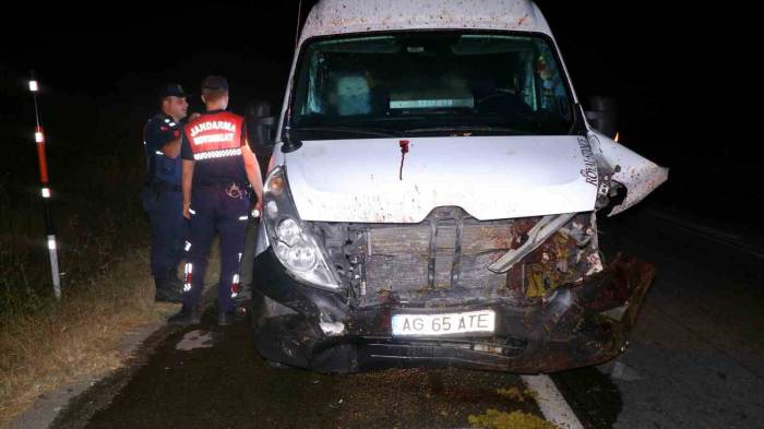 Kamyonetin Koyun Sürüsüne Çarpma Anı Kamerada: 16 Koyun Telef Oldu