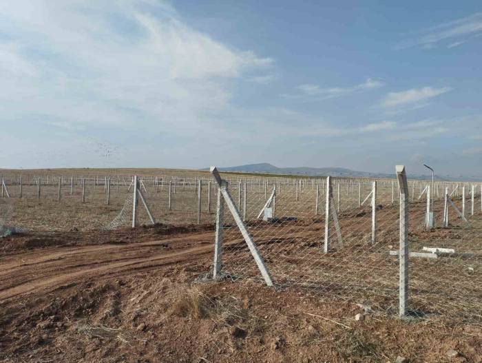 Tarım Arazilerini Aykırı Kullananlara Ceza Yağdı