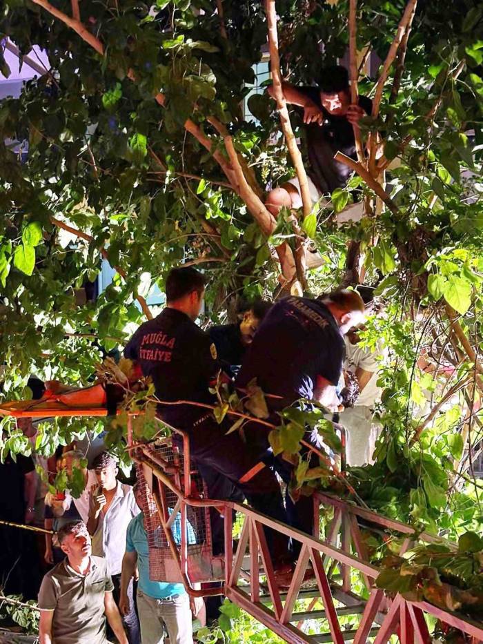 Aracın Çarptığı Motosiklet Sürücüsü 5 Metrelik Ağaçta Asılı Kaldı