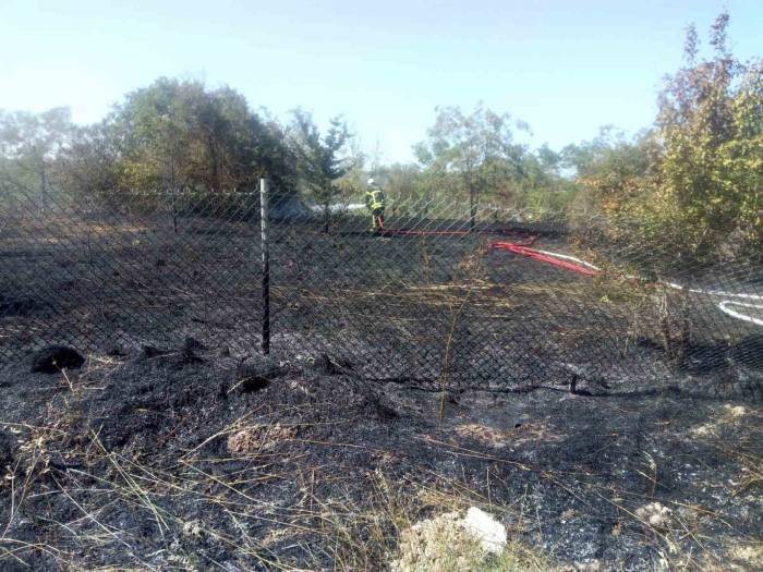 Otobandan Atılan Sigara İzmariti Yangın Çıkardı