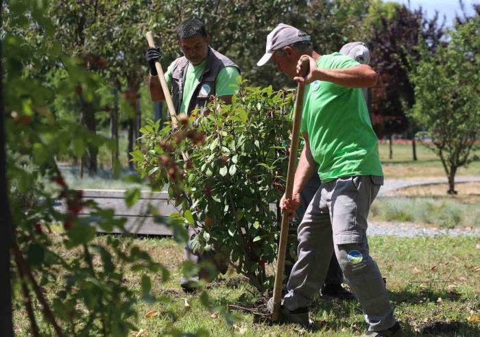 Sakarya Büyükşehir Belediyesi’nden Şehre Estetik Dokunuş