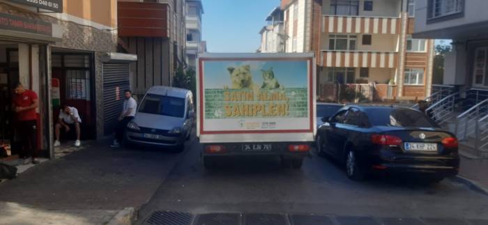 Ataşehir’de İett Şoförü Otobüse Çarpan Martıyı Böyle Kurtardı