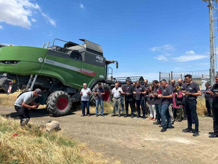 Hububat Hasadı Başladı