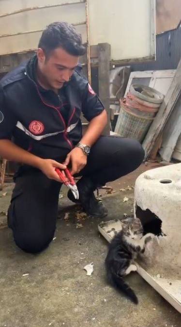 Kafası Küvete Sıkışan Kediyi İtfaiye Kurtardı