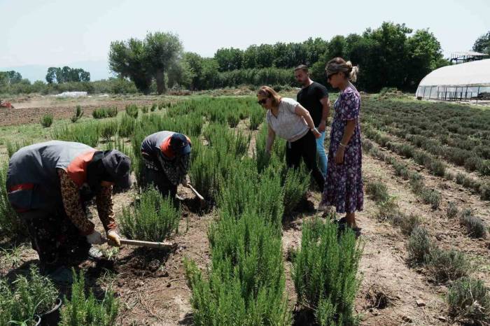 Düzce Tarımda Atılıma Geçiyor