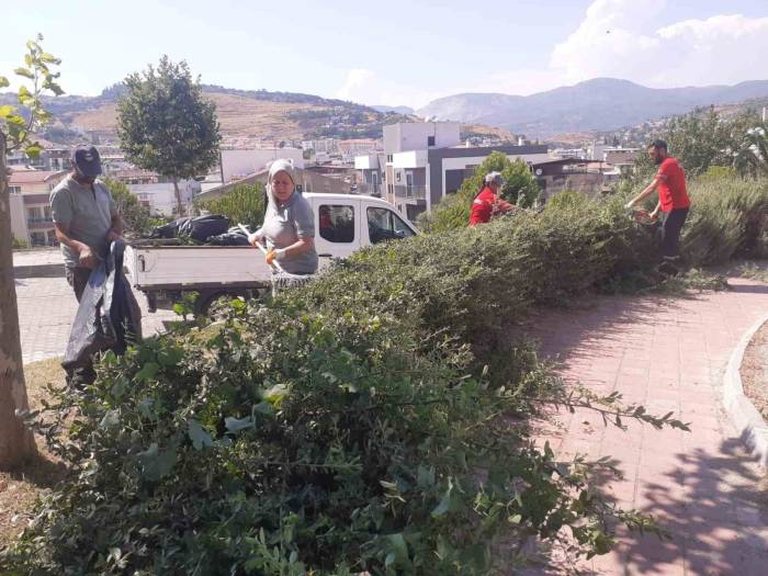 Söke Belediyesi’nden Park Ve Bahçelerde Yoğun Çalışma