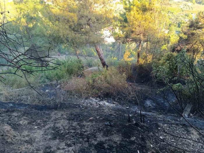 Defne’nde Yanan Traktör Zarar Gördü