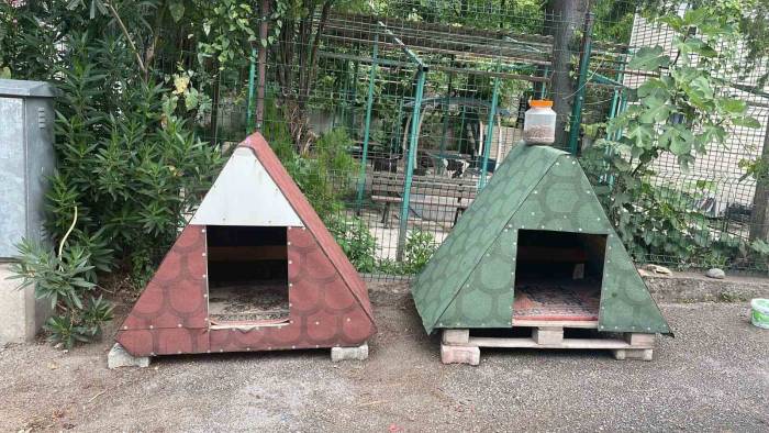 Yeni Doğan Kedi, Polis Merkezinin Maskotu Oldu