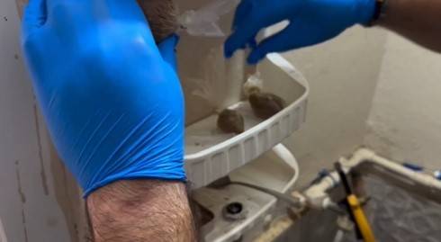 İskenderun’da Evin Her Köşesine Uyuşturucu Zulalayan Şahıslar Polisten Kaçamadı