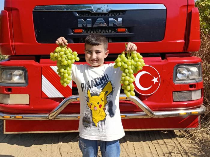 Sarıgöl’de Erkenci Üzüm Cinslerinde Hasat