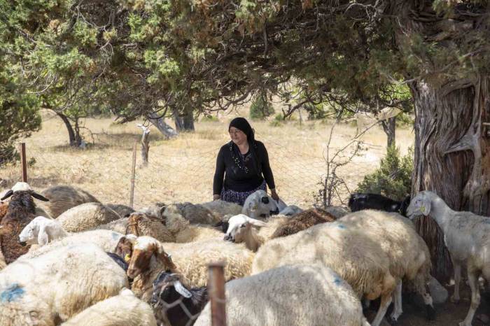 ’hadi Gel Köyümüze Destek Vereli’ Projesi 5. Yılında