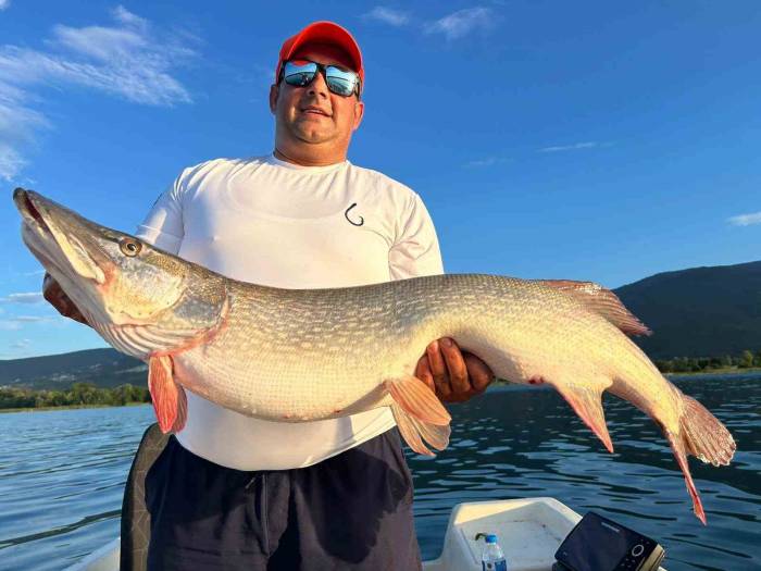 10 Kiloluk Turna Balığını Görünce Tepkisi Güldürdü: "Benim Bahçemdeki Kuzulardan Büyük"