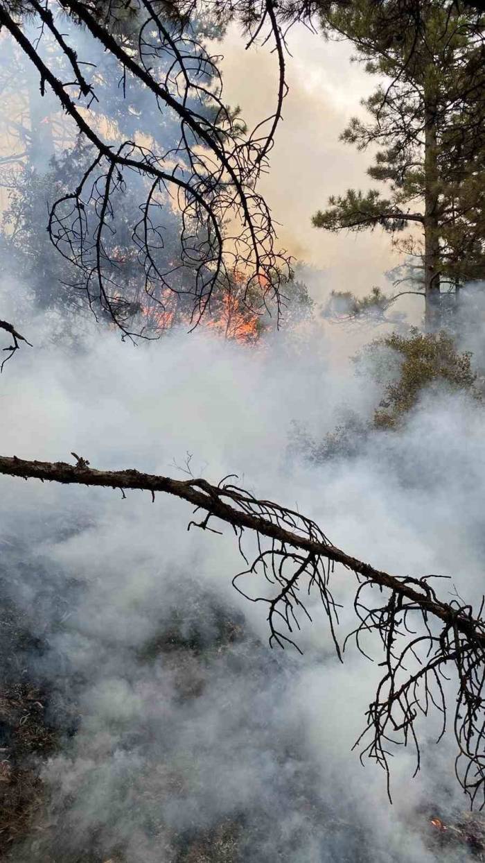 Başkarcı Dağında Yıldırım Düşmesi Sonucu Çıkan Orman Yangını Söndürüldü