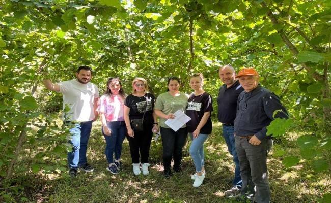 Giresun’da 2024 Yılı Fındık Rekolte Çalışmaları Tamamlandı