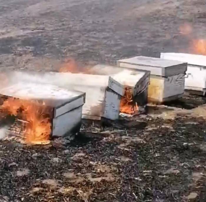 Babaeski’de Anız Yangını: Arılar Telef Oldu