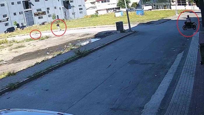 Bursa’da Sokak Köpeğinin Saldırısından Kadını Kurtardı... O Anlar Kamerada