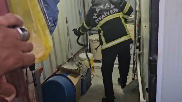 Depremzedelerin Yaşadığı Konteynıra Giren Yılan İtfaiye Ekipleri Tarafından Yakalandı