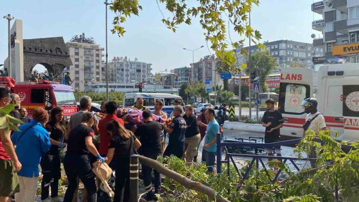 Devrilen Ağacın Altında Kalarak Yaralandı