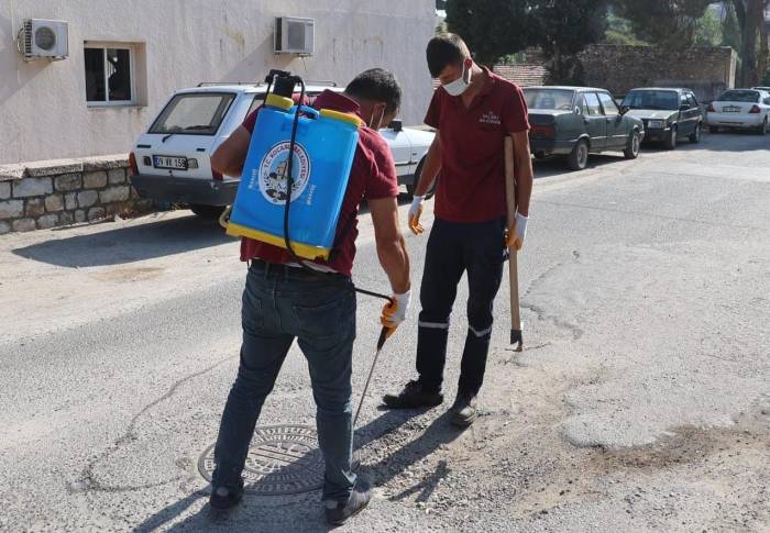 Koçarlı Belediyesi, Haşereyle Mücadelede 24 Saat Kesintisiz Hizmet Veriyor