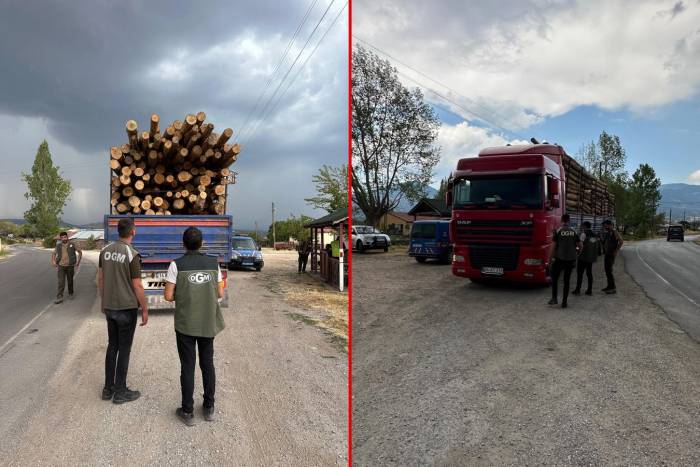 Kaçak Orman Emvaline Geçit Yok