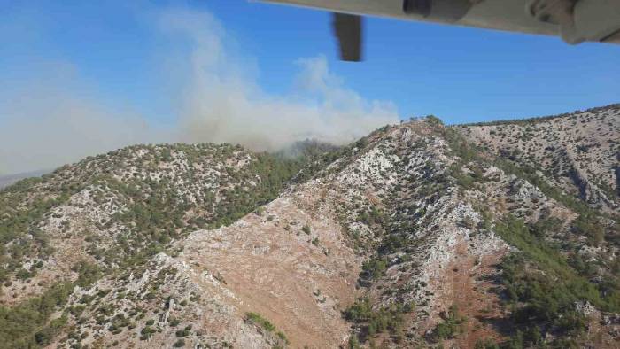Milas’ta Orman Yangını