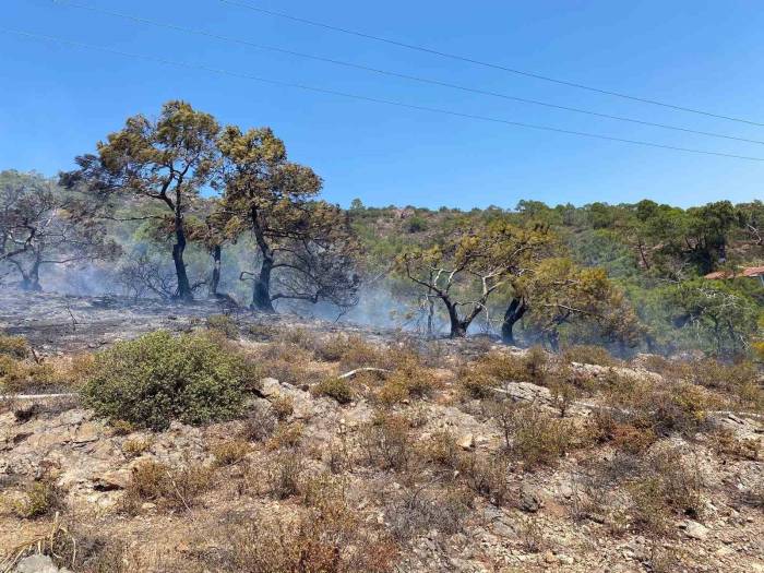 Balıkesir’in Tatil Beldesinde Makilik Alanda Yangın Çıktı