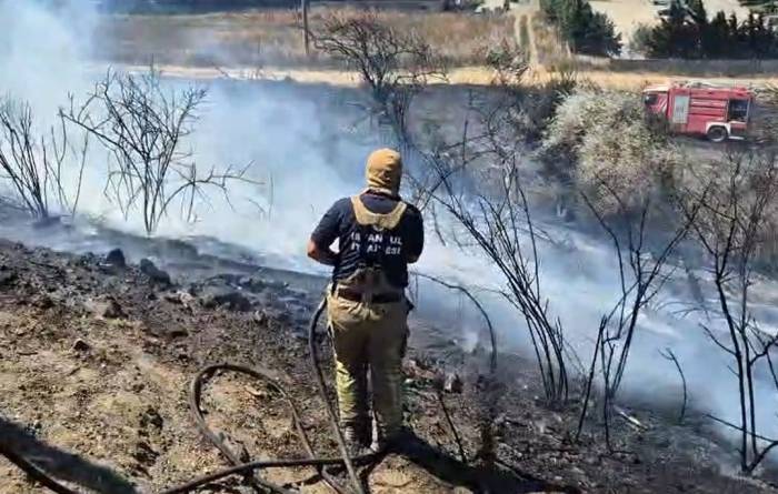 Silivri’de Otluk Alanda Yangın Çıktı, Yangını Söndürmeye Çalışan İtfaiyeciler Arı Kovanları İçin Seferber Oldu
