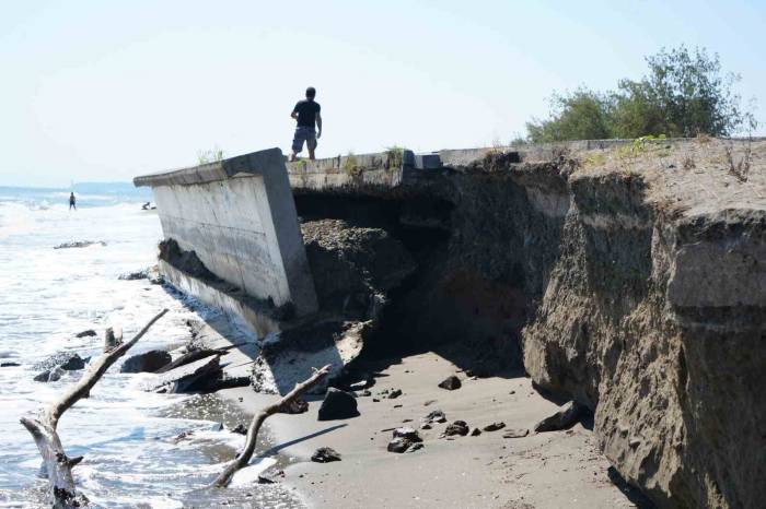 Hırçın Karadeniz Sahili Yutuyor