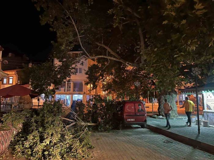 Park Halindeki Aracın Üzerine Ağacın Kırılan Dalı Düştü