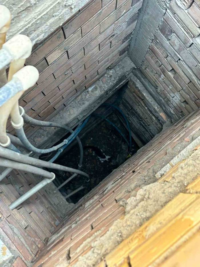 İskenderun’da Binanın Havalandırma Boşluğuna Düşen Yavru Kedi Kurtarıldı
