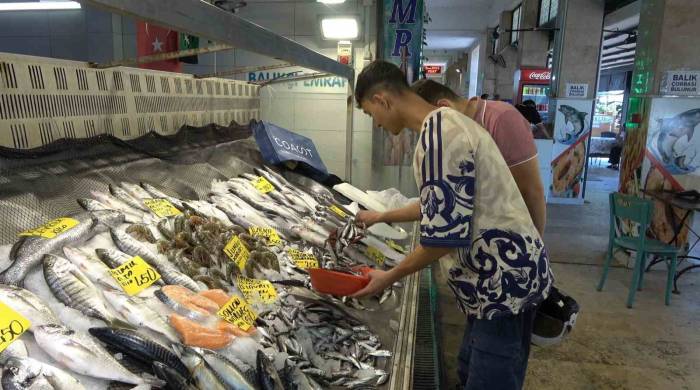 En Çok Tüketilen Balık Sardalya Oldu