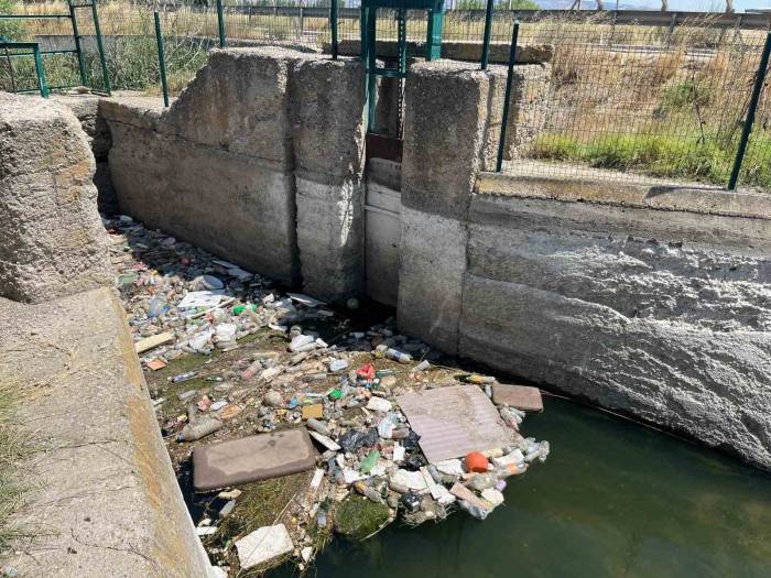 Sulama Kanalında Can Pazarı